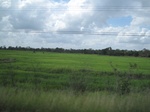 33261IMG_5591.JPG