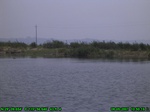 1568R0015233_tag.jpg