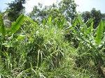 15834IMG_4373.JPG