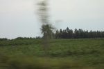 2024-08-05_16-08-59_E25BD299-F1E6-4AA5-A150-61930EC6E930.jpeg