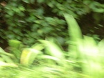 48833CIMG5170.JPG