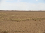 36537CIMG0306.JPG
