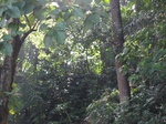 15409IMG_4263.JPG