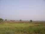9125RIMG0205.JPG