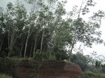 33645IMG_5834.JPG