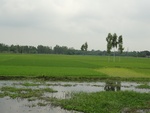 21698DSC00238.JPG