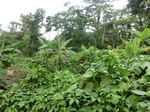 45270CIMG2355.JPG