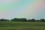 2024-08-05_14-50-02_0AF9061F-BA67-400A-9A22-AC44768C3D7B.jpeg