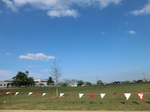 50826CIMG0003.JPG