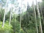 38216CIMG1505.JPG