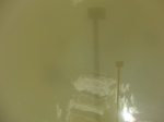 58572CIMG3022.JPG