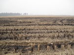 8519IMG_0345.JPG