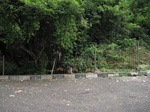16141IMG_4886.JPG