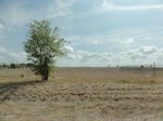 35540DSC02037.JPG