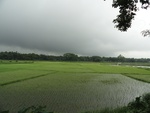 22084DSC00319.JPG