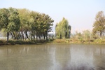 2025-07-15_15-08-31_D325C466-FFB2-428D-83AC-6DE8C3F4AEAA.jpeg