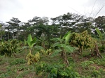 46181CIMG0470.JPG
