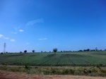 56329CIMG7076.JPG