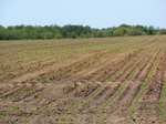 29996CIMG0696.JPG