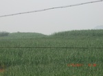 33158CIMG2395.JPG