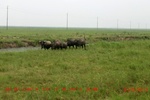 39052CIMG4624.gps.jpg