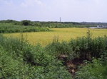 3592 160.jpg