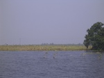 680R0015188.jpg