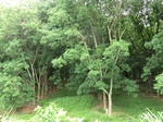 34854CIMG1525.JPG
