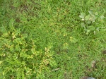 18610P1000447.JPG