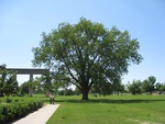 8723IMG_3890.JPG