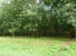 20417P1020274.JPG