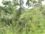 49284CIMG5621.JPG