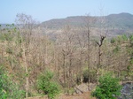 1717820042008(104).JPG