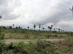 55825CIMG6460.JPG