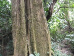 46868DSC02215.JPG