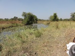 26618DSC00263.JPG