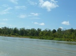 54705Bulungan (201).JPG