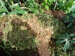 20118P1010969.JPG