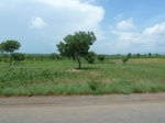 19642P1010489.JPG