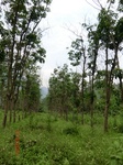 53682CIMG7071.JPG