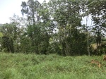 49485CIMG5822.JPG