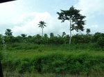18194P1000030.JPG