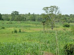 18761P1000599.JPG