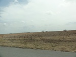 35411DSC02923.JPG