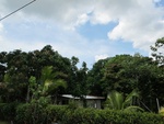 29588IMG_5155.JPG
