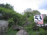 1052053-forest-rocky-outcrop-a.gif