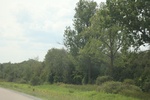 2024-10-10_17-03-52_3F954ECB-9E20-424E-BFEB-0BD7A1C2AB29.jpeg