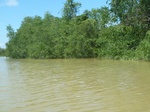 54729Bulungan (226).JPG