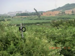 34782CIMG2613.JPG