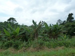 20282P1020138.JPG